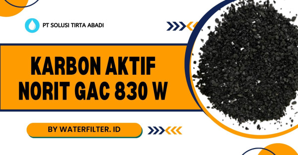 KARBON AKTIF NORIT GAC 830 W
